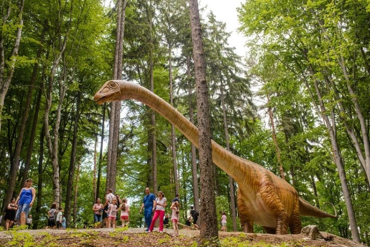Dino Parc